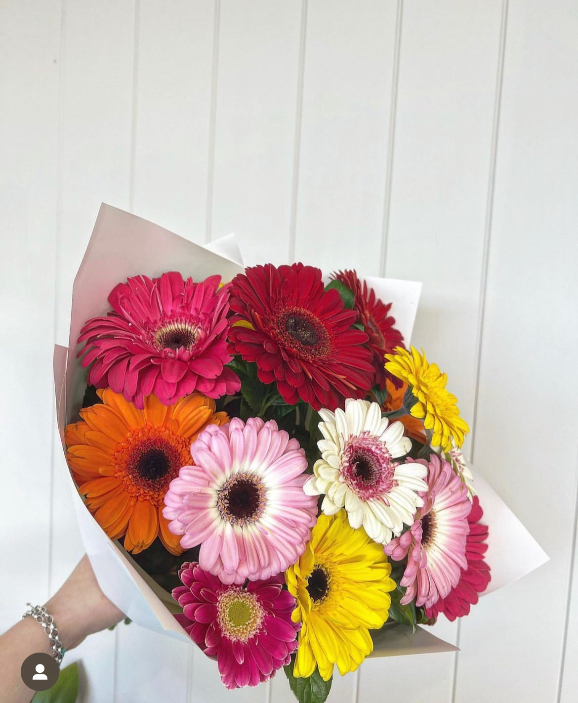 Delightful Gerberas